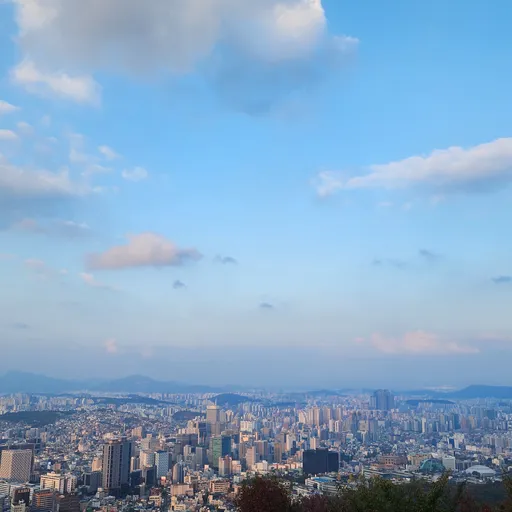 연초 @rnscjdtor.bsky.social 로고