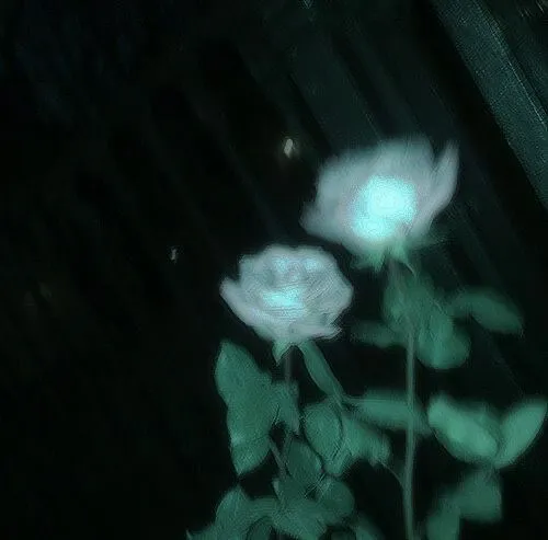 침묵의 봄 死