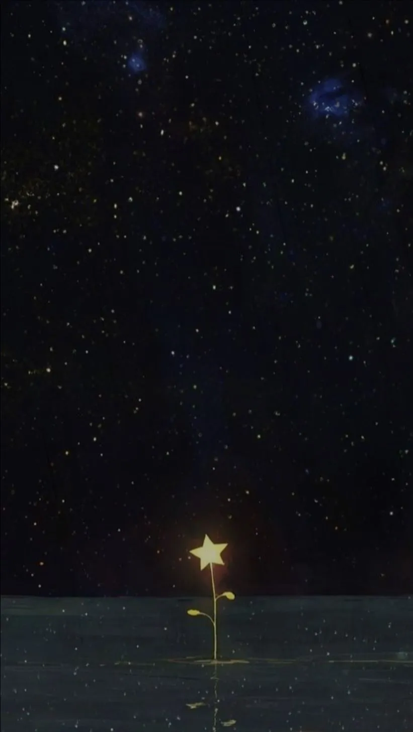 별 꽃