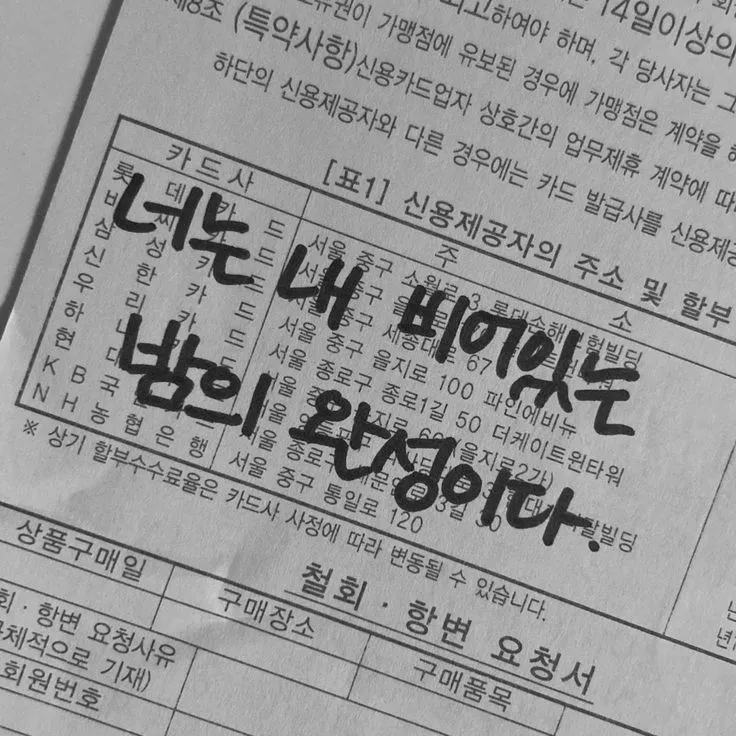 불분명한 의사소통 사이 피어나는